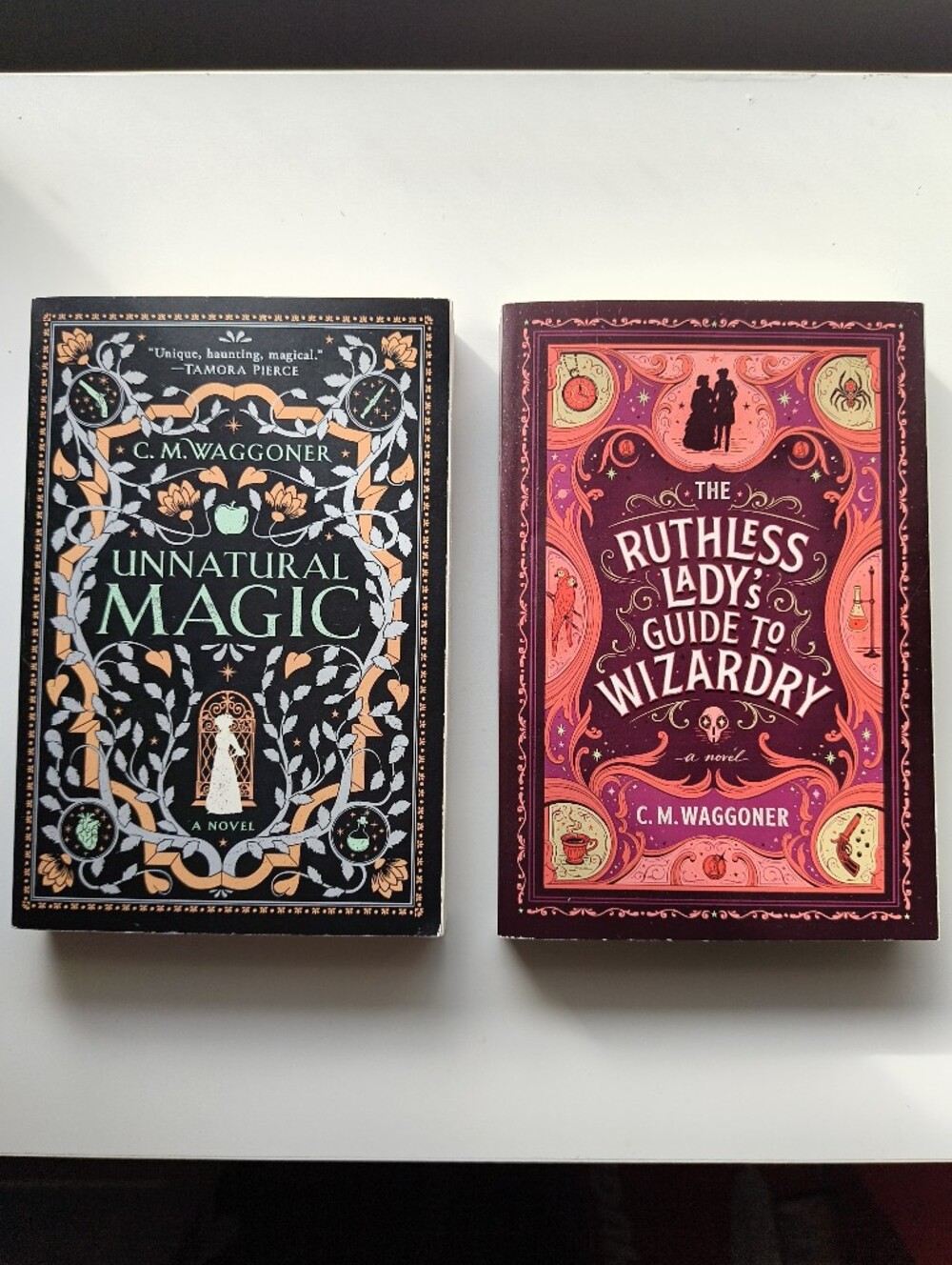 C. M. Waggoner Fantasy Books — 2 Paperback Books | LIKE NEW | NEVER READ
